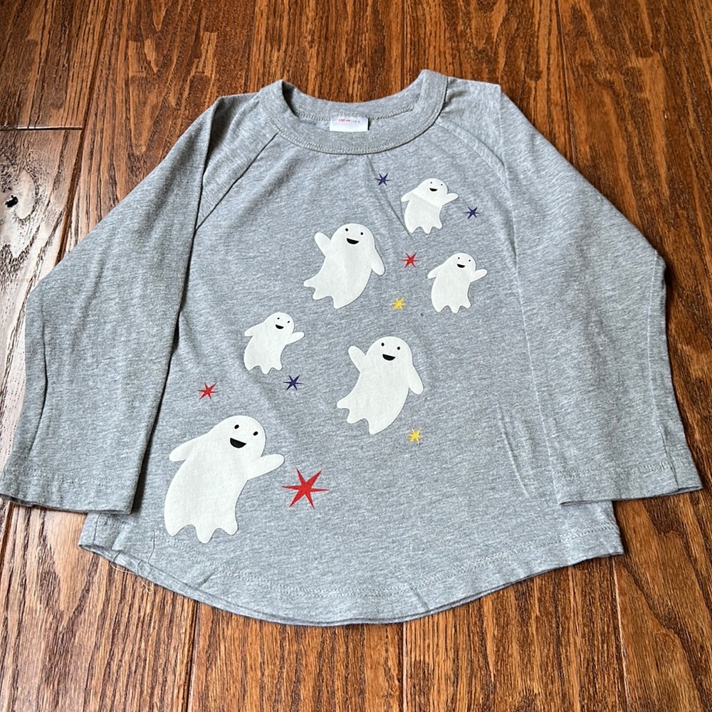 Hanna Andersson long sleeve tee- 4T (100 cm)